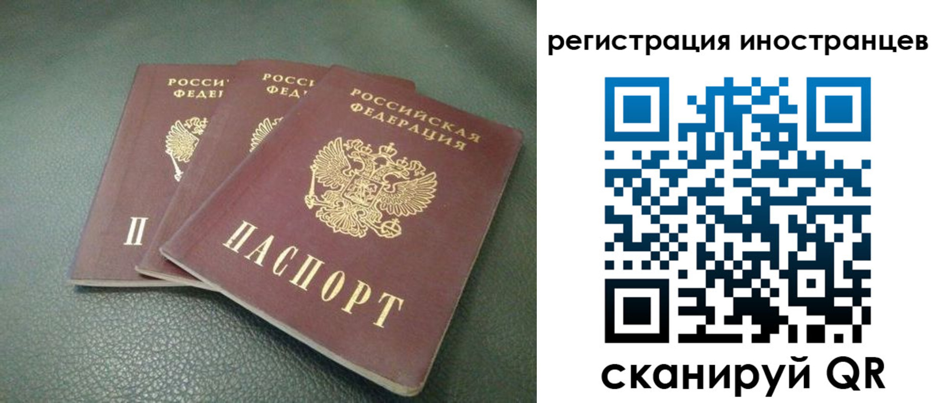 прописка от собственника в Фролово